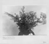 Johns album 1958-1962