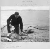 Johns album 1960-1963