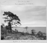 Johns album 1960-1963