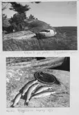 Johns album 1960-1963