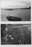 Johns album 1960-1963