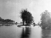 Ekholmen vid Slussen, ca 1900
