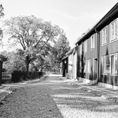 Huslänga i Wadköping, november 1964