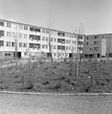 Lekande barn i Markbacken, 1960-tal