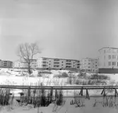 Markbacken under vinter, 1960-tal