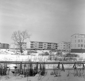Markbacken under vinter, 1960-tal