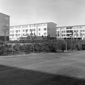 Tre hus i rad i Markbacken, 1960-tal