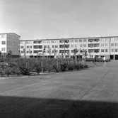 På cykel genom Markbacken, 1960-tal