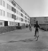 Cyklande barn i Markbacken, 1960-tal