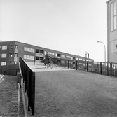 Kvinna med cykel i Markbacken, 1960-tal