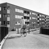 Cyklande kvinna i Markbacken, 1960-tal