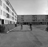 Cyklande barn i Markbacken, 1960-tal