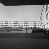 Barn cyklar i Markbacken, 1960-tal