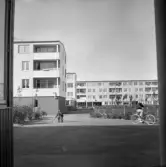 Barn i Markbacken, 1960-tal