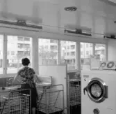 Kvinna i tvättstuga i Markbacken, 1960-tal