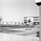 Lekplats med sandlåda i Markbacken, 1960-tal