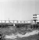 Flicka med trehjuling i Markbacken, 1960-tal