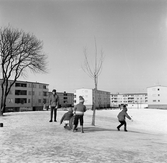 Pulkaåkning i Markbacken, 1960-tal