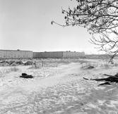 Vinter i Markbacken, 1960-tal