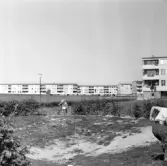 Trehjuling i Markbacken, 1960-tal