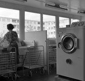 Kvinna tvättar för hand i tvättstuga i Markbacken, 1960-tal