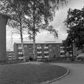 Barn i Norrby, 1960-tal