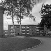 Lek i Norrby, 1960-tal