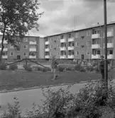 Ungdomar i Norrby, 1960-tal