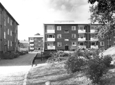 Gård med lekplats i Norrby, 1960-tal