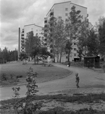 Grönyta i Norrby, 1960-tal