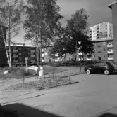 Två unga damer går till fots i Norrby, 1960-tal