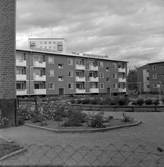 Lekplats på gård i Norrby, 1960-tal