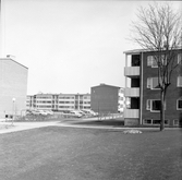 Parkering i Norrby, 1960-tal