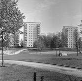 Höghus på Majorsgatan i Norrby, 1960-tal