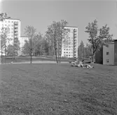 Ungdomar i Norrbyparken, 1960-tal