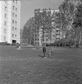 Barn i parken i Norrby, 1960-tal