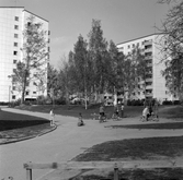 Lekande barn i Norrby, 1960-tal