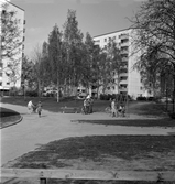 Lekplats i Norrby, 1960-tal