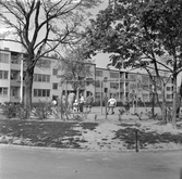 Lekplats med gungande barn i Norrby, 1960-tal