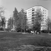 Barn med barnvagnar i Norrby, 1960-tal