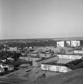 Vy från taket över Norrby, 1960-tal