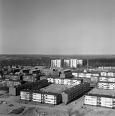 Vy över gårdarna och höghusen i Norrby, 1960-tal