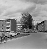 Cyklist vid parkering i Norrby, 1960-tal