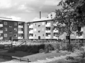 Inhängnad gård med lekyta i Norrby, 1960-tal