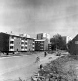 Väg genom Norrby, 1960-tal