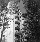 Ett av höghusen på Majorsgatan i Norrby, 1960-tal
