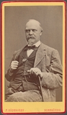 Daniel Fredrik Bergman (1824-1907)