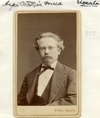 Oscar Arpi (1824-1890)