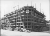 Byggnadsarbete i hörnet Östra Långgatan-Kyrkogatan, kv Apotekaren. Notera de höga, rangliga stegarna som byggarbetarna hade att klättra på. Tagel och plank ligger längs byggnadsställningen. Se bildnr 05F456 för mer information och den färdiga byggnaden, som kom att kallas Varbergs första skyskrapa.