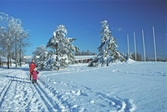 Barn och vuxen i skidspåret vid Ånnaboda fritidsanläggning, februari 1994